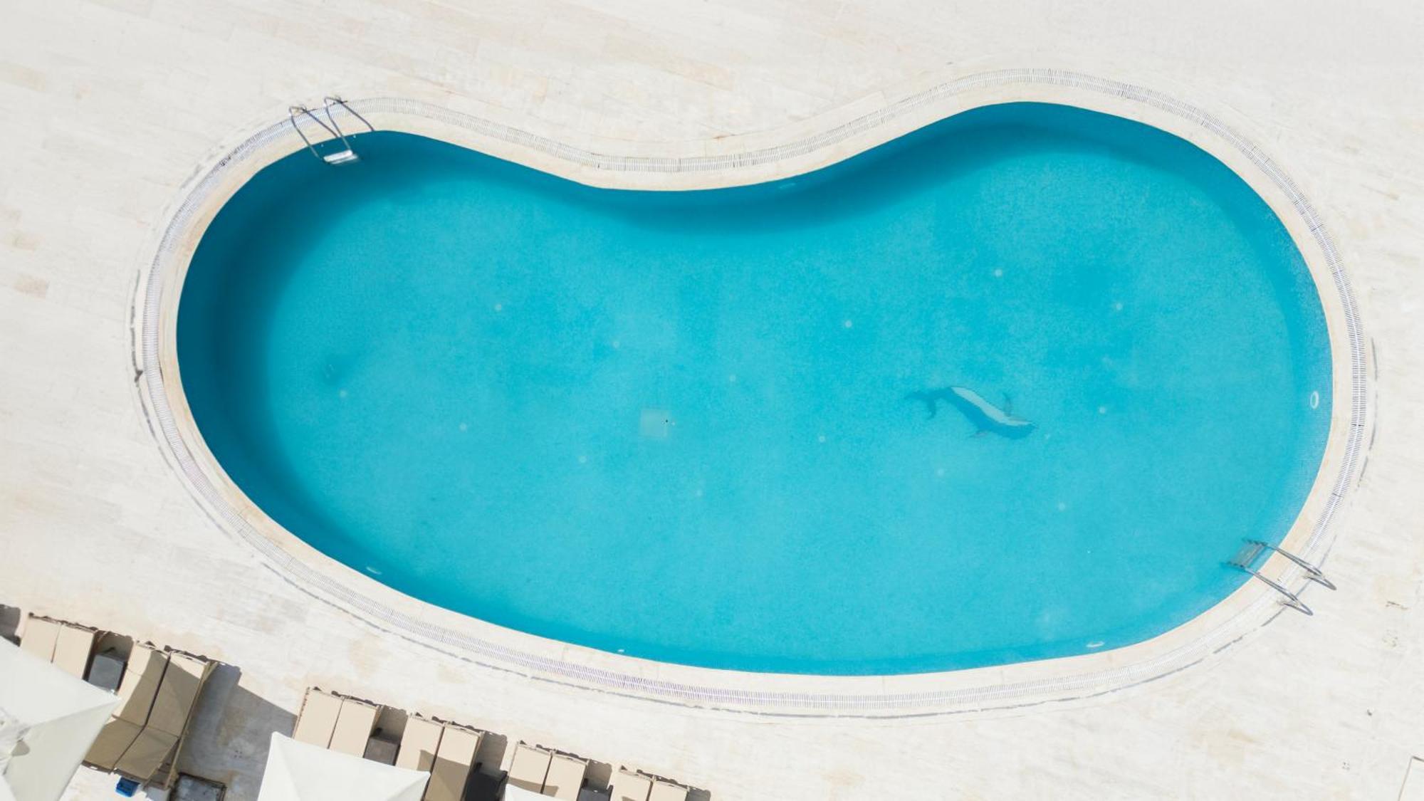 Salinas Beach Hotel Bodrum-Boutique Concept Gumbet Zewnętrze zdjęcie