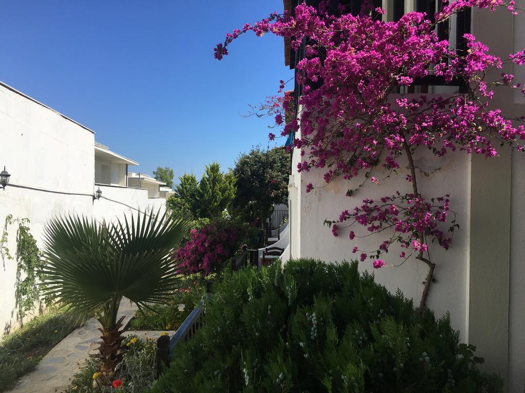 Salinas Beach Hotel Bodrum-Boutique Concept Gumbet Zewnętrze zdjęcie